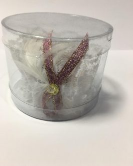 keliaraiščiai nuotakoms